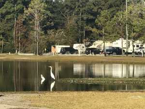 Camping Near Lake Charles La : Twelve Oaks Rv Park Lake Charles La Youtube / Maybe you would like to learn more about one of these?